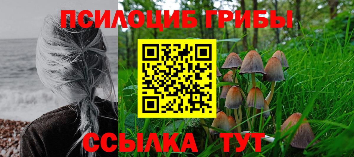 Галлюциногенные грибы прущие грибы Пермь