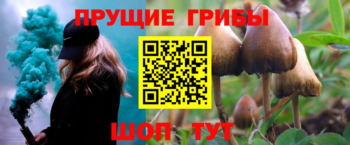 Псилоцибиновые грибы Magic Shrooms  Галлюциногенные грибы MAGIC MUSHROOMS  Вход с VPN  Пермь 